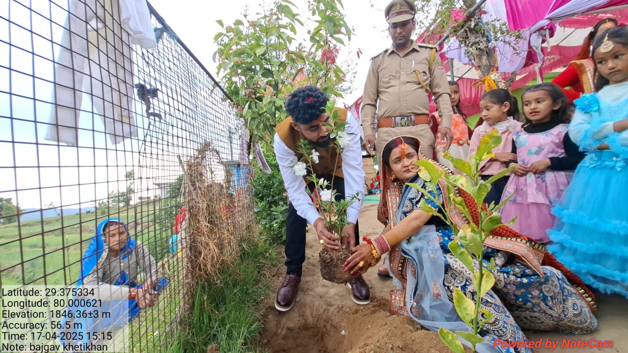 वृक्षारोपण करते हुए वर वधू
